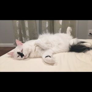 Meet your Posher, Sandy